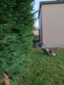 Photo de galerie - Paysagiste - Aménagement du jardin