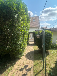 Photo de galerie - Elagage et coupe d'arbres