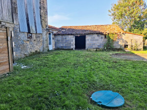 Photo de galerie - Tonte de pelouse - Débroussaillage