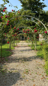 Photo de galerie - Paysagiste - Aménagement du jardin