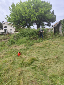 Photo de galerie - Tonte de pelouse - Débroussaillage