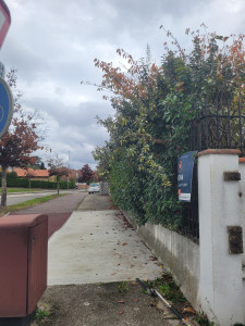 Photo de galerie - Jardinage 