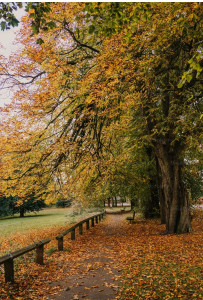 Photo de galerie - Jardinier