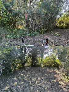 Photo de galerie - Défrichage d'une nouvelle zone sur une parcelle où seront mis des chevaux