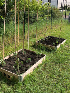 Photo de galerie - Création potager 