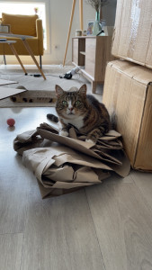 Photo de galerie - Plume