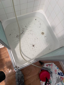 Photo de galerie - Furet  / Déboucheur de canalisation