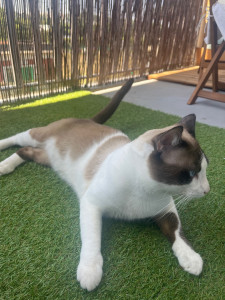 Photo de galerie - Espace extérieur 