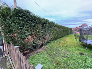 Photo de galerie - Taille d’une haie de 23 mètres