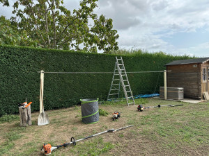Photo de galerie - Taille d’une haie thuya l