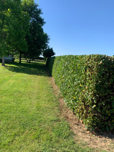 Photo de galerie - Particulier 