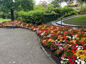 Photo de galerie - Plantation d’un massif de fleurs 