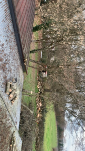 Photo de galerie - Petit abattage 