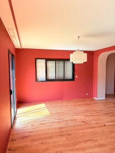Photo de galerie - Ratissage et peinture 