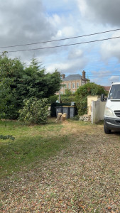 Photo de galerie - Elagage et coupe d'arbres
