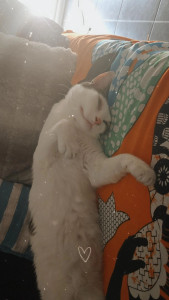 Photo de galerie - Bébé ? 2ans