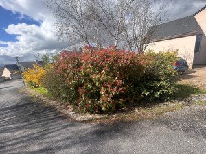 Photo de galerie - Taille de haies et d'arbustes