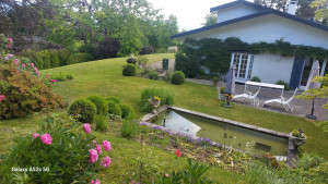 Photo de galerie - Entretien de jardin à l'année 
tonte, désherbage, taille, nettoyage. 