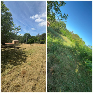 Photo de galerie - Tonte de pelouse - Débroussaillage