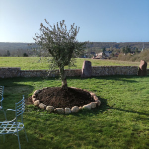 Photo de galerie - Aménagement d une séparation avec des gabions et gros blocs de quartz rose ,plantation f un olivier 