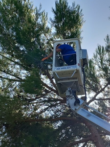 Photo de galerie - Intervention avec nacelle 