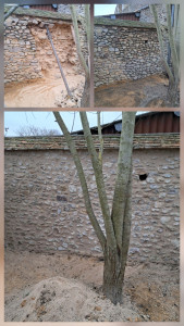 Photo de galerie - Remise en état d'un mur en pierres alignées au cordeau avec finition des joints au mortier de chaux. 