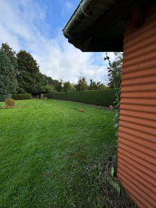 Photo de galerie - Taille de haie