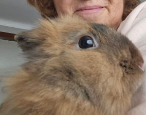 Photo de galerie - Je m'occupe des besoins quotidiens de vos compagnons et câlins si affinités ;⁠-⁠)