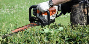 Photo de galerie - Taille de haies 