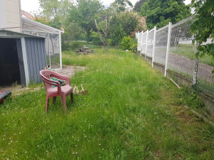 Photo de galerie - Tonte de pelouse - Débroussaillage