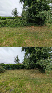 Photo de galerie - Débroussaillage broyage 