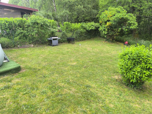 Photo de galerie - Tonte pelouse 