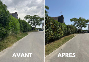 Photo de galerie - Taille de haies et d'arbustes