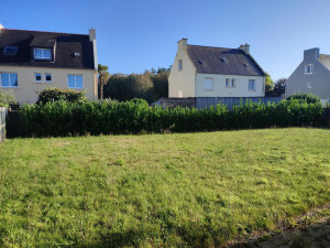 Photo de galerie - <AVANT> Taille de Haie + Tonte.