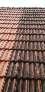 Photo de galerie - Couverture - Toiture