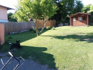 Photo de galerie - Arbustes et pelouse 