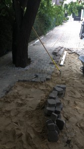 Photo de galerie - Terrassement - Assainissement