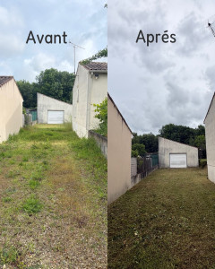 Photo de galerie - Allez nettoyer 