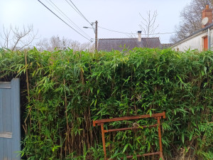 Photo de galerie - Après 