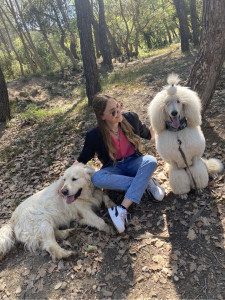 Photo de galerie - Oscar et Kylo en balade en forêt ?