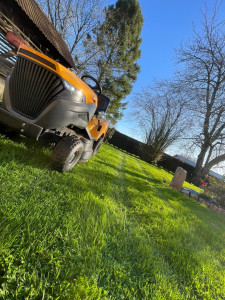 Photo de galerie - Petite tonte