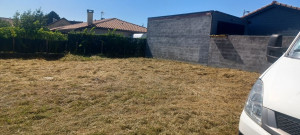 Photo de galerie - Tonte de pelouse - Débroussaillage