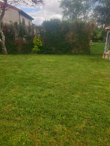 Photo de galerie - Tonte et debroussaillage 