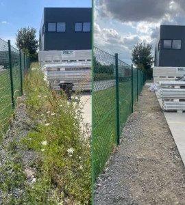 Photo de galerie - Tonte de pelouse - Débroussaillage