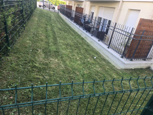 Photo de galerie - Tonte, Finition débroussaille 