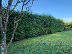 Photo de galerie - Taille