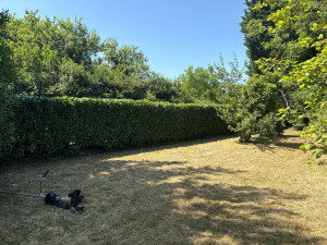 Photo de galerie - Taille de haie tonte et débroussaillage 