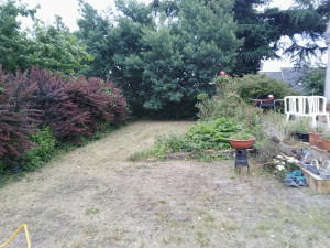 Photo de galerie - Tonte 