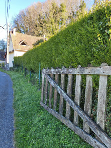 Photo de galerie - Avant intervention 