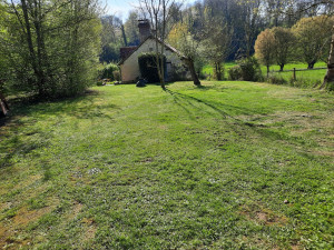 Photo de galerie - Tonte et débroussaillage 